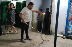 राशन सामग्री के बीच बैठा काले सफेद रंग का सांप घर वाले बोले ऐसा सांप है हमने पहली बार देखा जिसे जितेंद्र साथी ने सुरक्षित रेस्क्यू कर